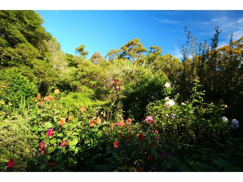 110 Yerunda Road, Tomerong NSW 2540