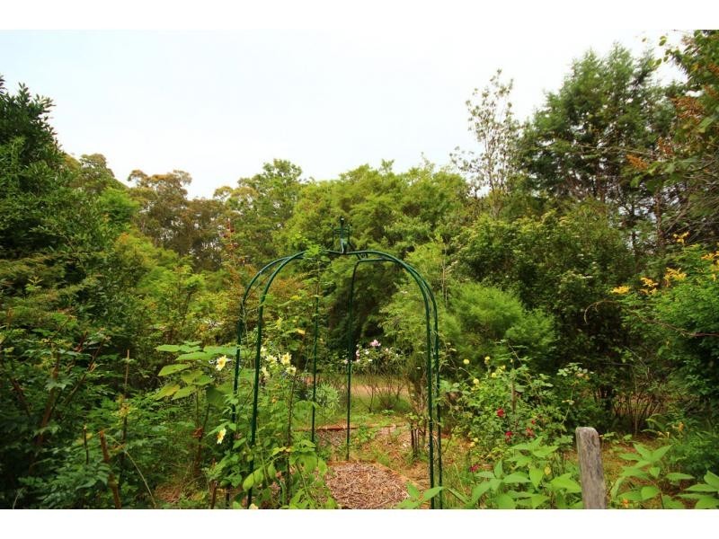 110 Yerunda Road, Tomerong NSW 2540