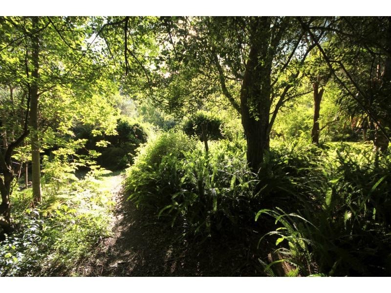 110 Yerunda Road, Tomerong NSW 2540