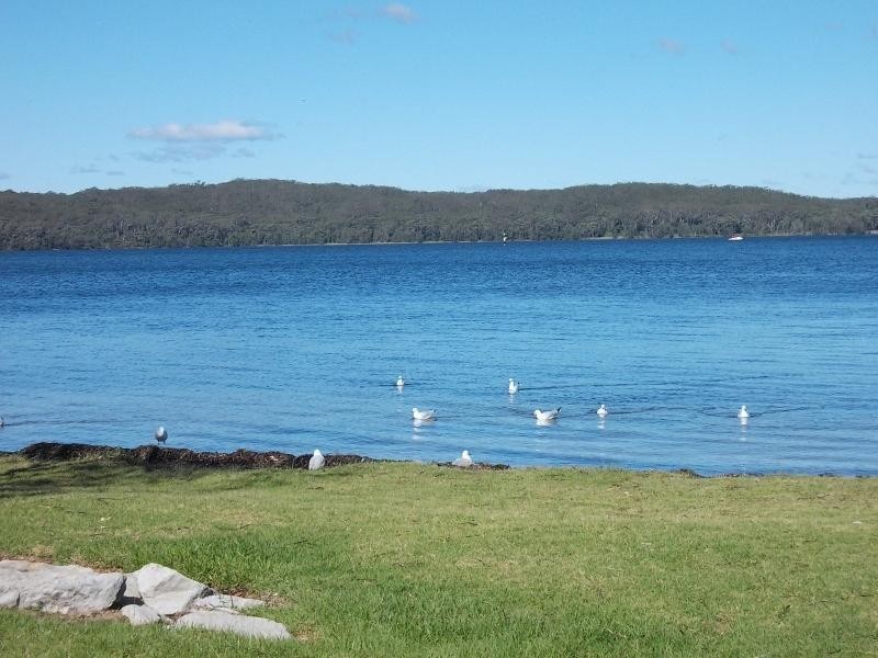 185 Greville Ave, Sanctuary Point NSW 2540