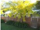 23 Currambene St, Huskisson NSW 2540