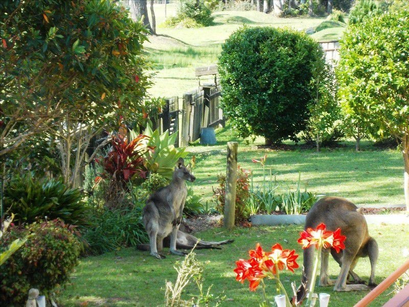 Unit 1/53 Paradise Beach Road, Sanctuary Point NSW 2540