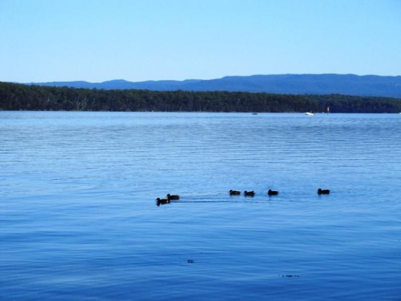 47 Greville Avenue, Sanctuary Point NSW 2540