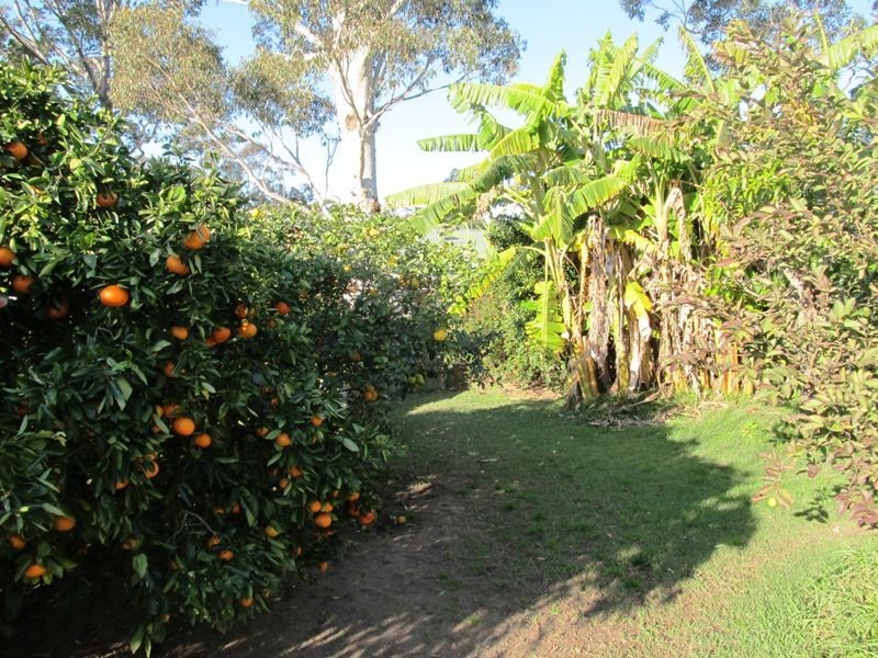 97 Fairway Drive, Sanctuary Point NSW 2540