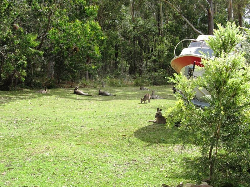 35 Harriss Avenue, Basin View NSW 2540