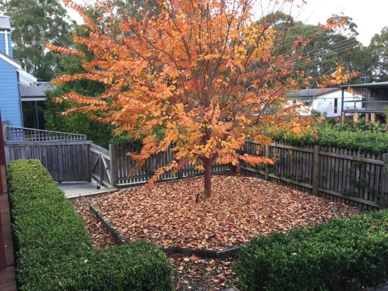 55 Harriss Avenue, Basin View NSW 2540