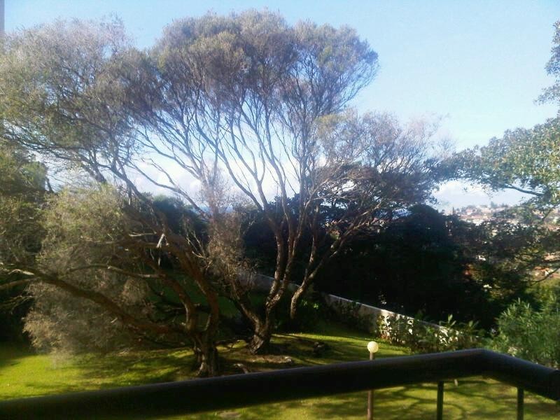 77/244 Alison Road, Randwick NSW 2031