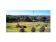 Kingsford NSW 2032
