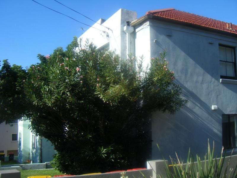 7/433 Maroubra Road, Maroubra NSW 2035