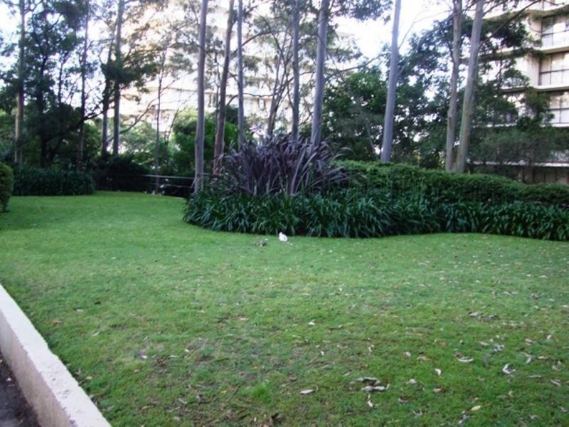 406/4 Frances Road, Artarmon NSW 2064