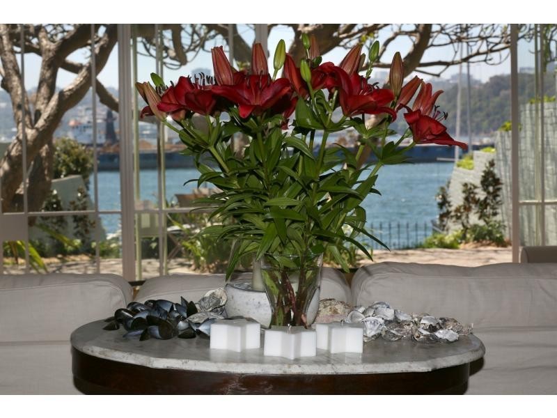 15b Wharf Road, Balmain NSW 2041