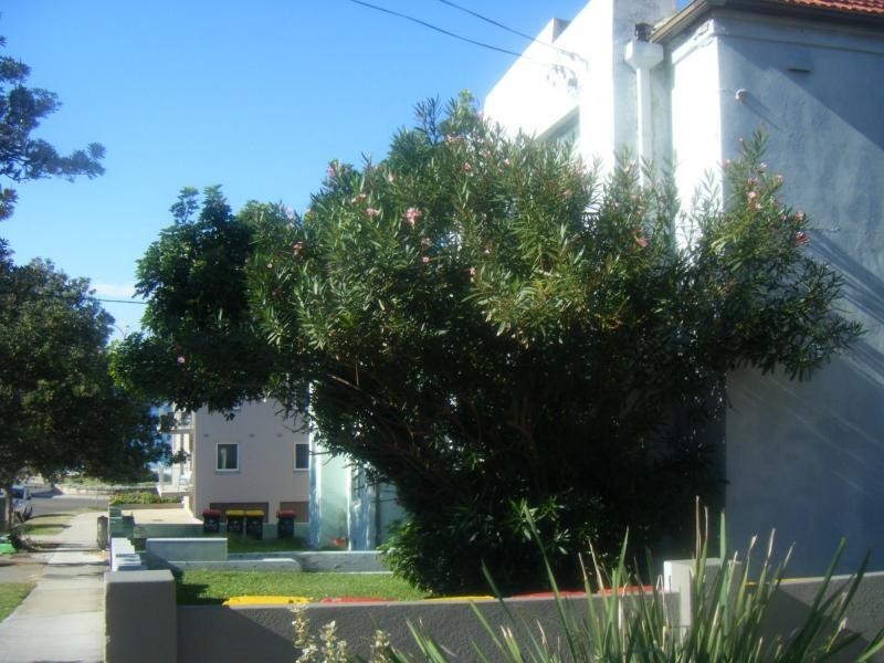 6/433 Maroubra Road, Maroubra NSW 2035