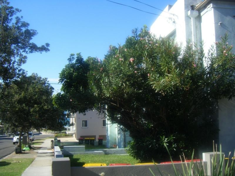 3/433 Maroubra Road, Maroubra NSW 2035