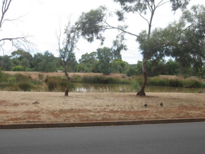 47 Shillabeer Road, Elizabeth Park SA 5113