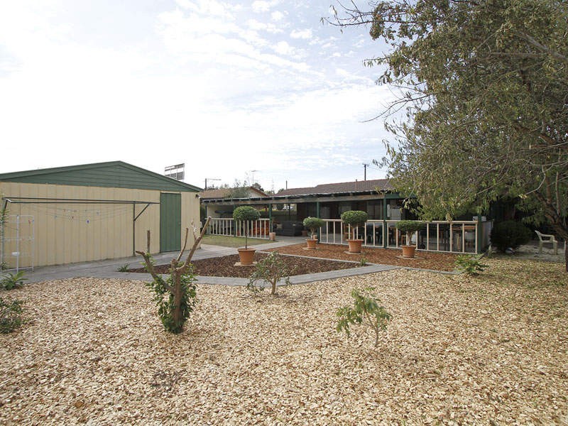 14 Leane Avenue, Ridgehaven SA 5097