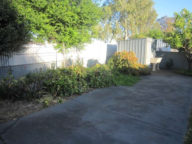 7 Frost Street, Newton SA 5074