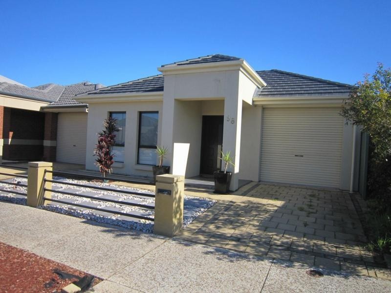 98 Shoalhaven Circuit, Mawson Lakes SA 5095