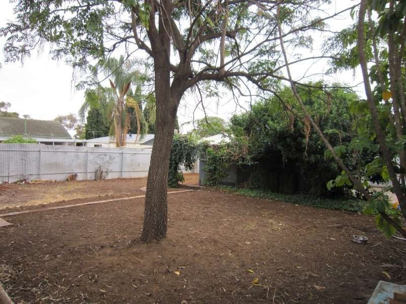 13 Wasley Street, Elizabeth Downs SA 5113