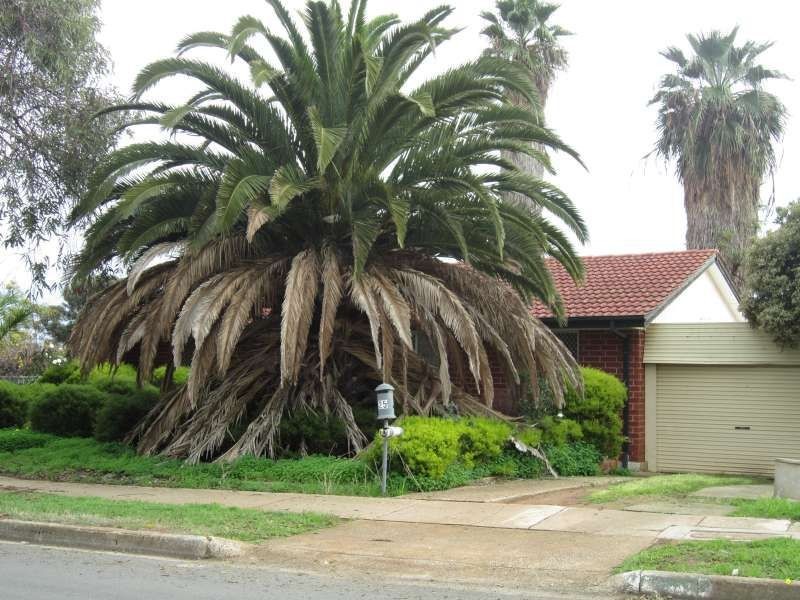 25 Stratton Road, Elizabeth Downs SA 5113