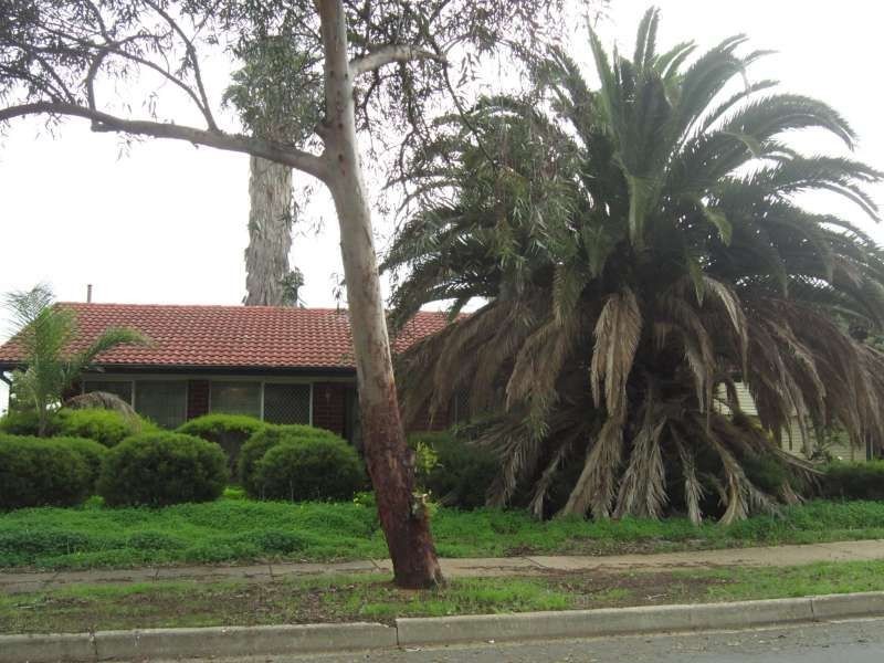 25 Stratton Road, Elizabeth Downs SA 5113