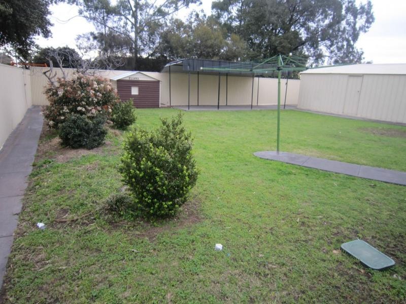 11 Frost Street, Newton SA 5074