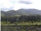 Maudsland QLD 4210