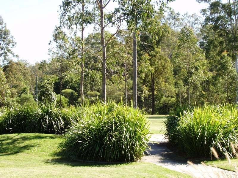 Collingwood Park QLD 4301