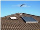 Ormeau QLD 4208