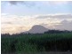 Bli Bli QLD 4560