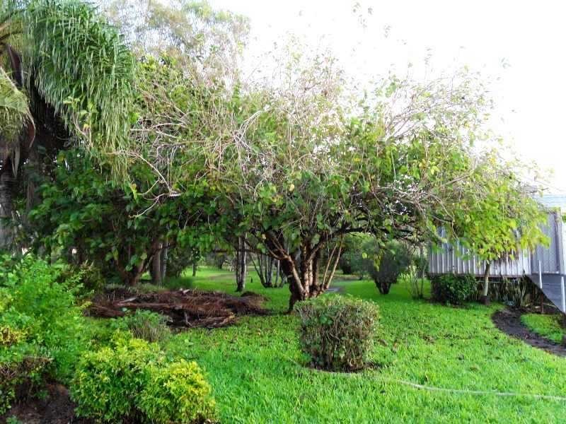 Bli Bli QLD 4560