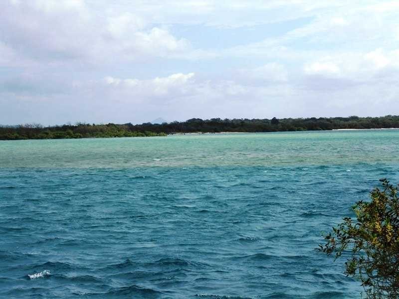 Maroochydore QLD 4558