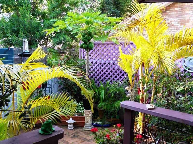 Buderim QLD 4556