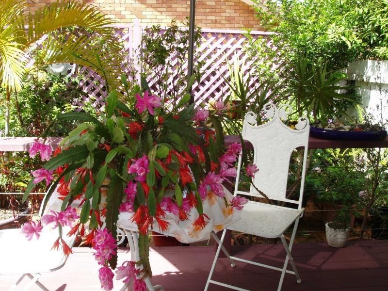 Buderim QLD 4556