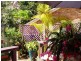 Buderim QLD 4556