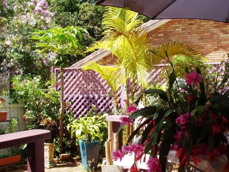 Buderim QLD 4556