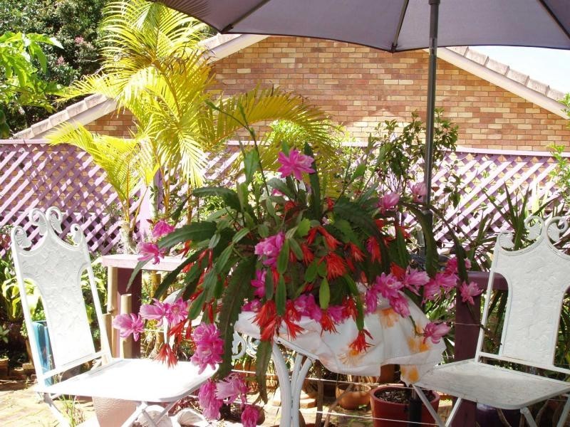 Buderim QLD 4556