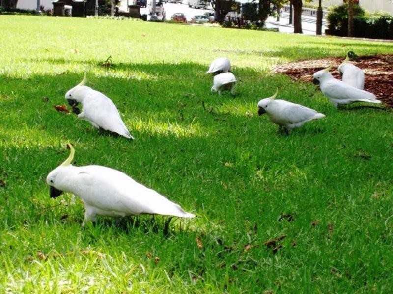 Pimpama QLD 4209