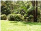 Buderim QLD 4556