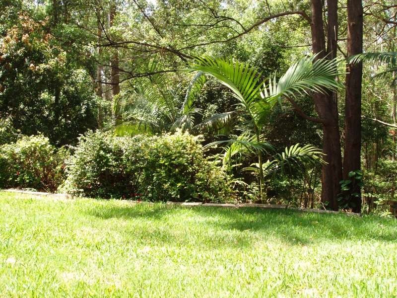 Buderim QLD 4556