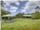 Yandina Creek QLD 4561