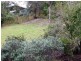 Yandina Creek QLD 4561