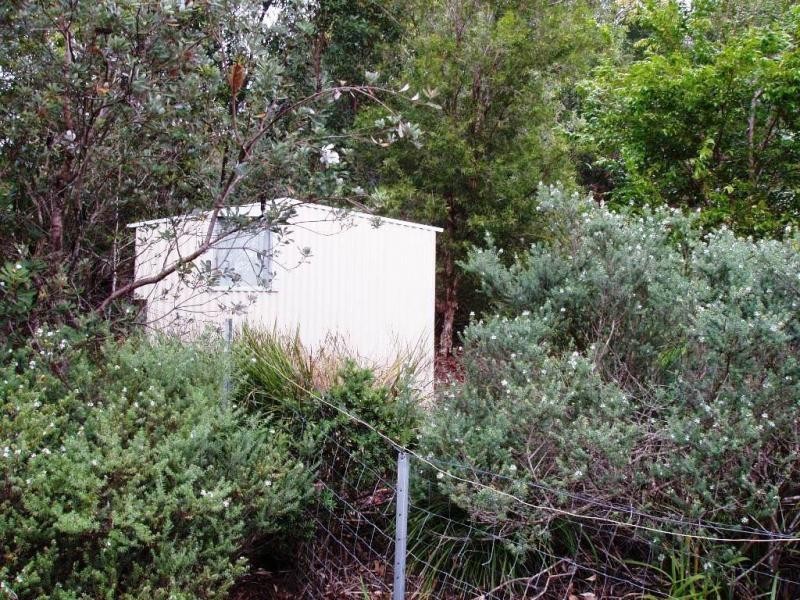 Yandina Creek QLD 4561