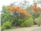 Woombye QLD 4559