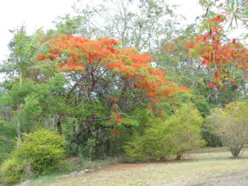 Woombye QLD 4559