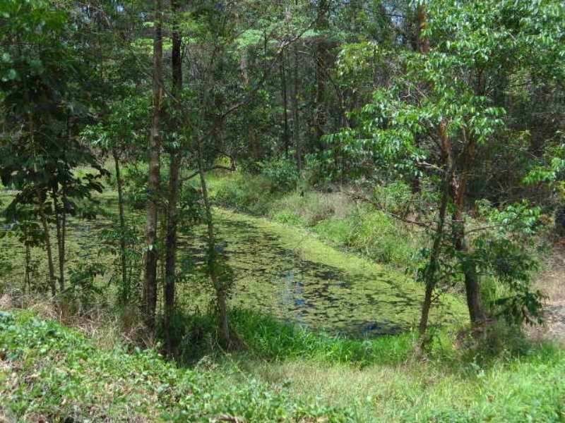 Woombye QLD 4559
