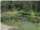 Woombye QLD 4559