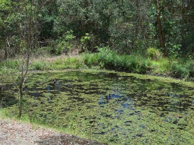 Woombye QLD 4559