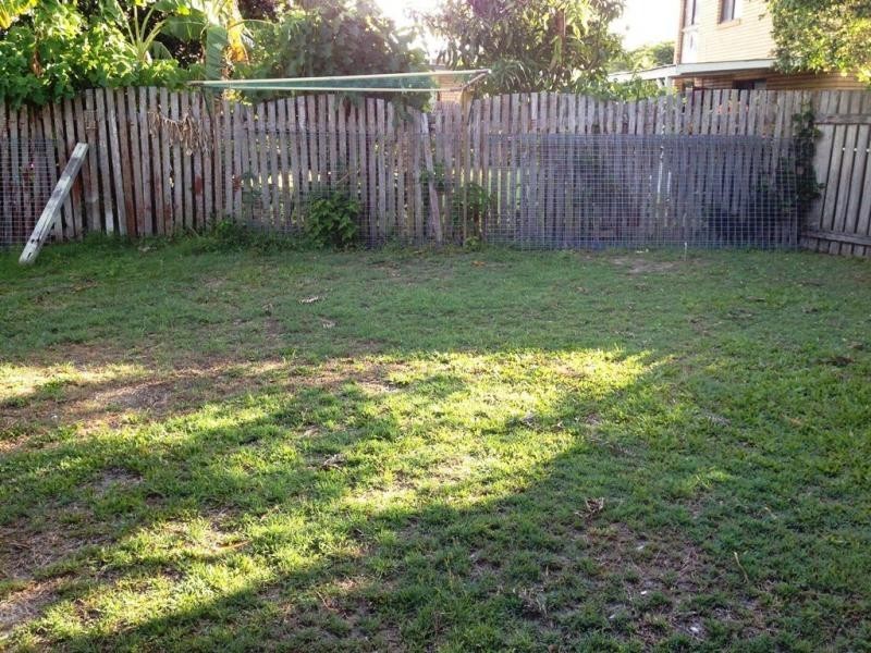 Duplex 1/1/4 Adelong Crescent, Buddina QLD 4575