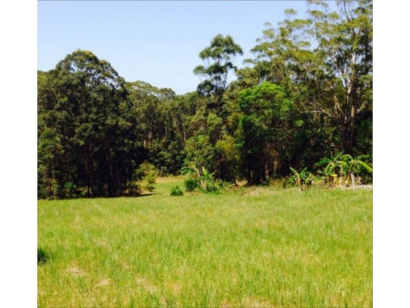 Eumundi QLD 4562