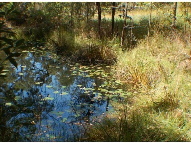 Eumundi QLD 4562